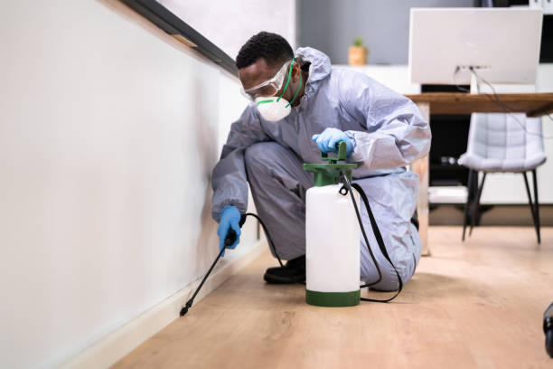 Best Residential Pest Control  in Fort Drum, NY